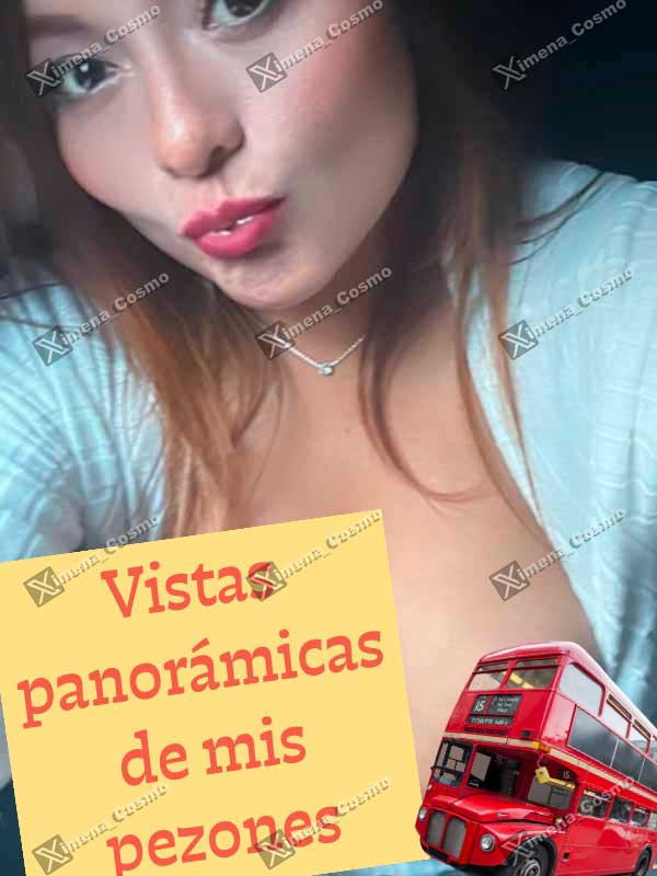 Miniatura 26